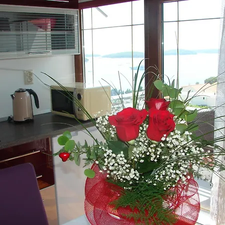 Guest house Spiko 3*