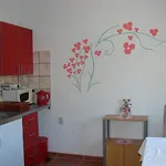 Spiko